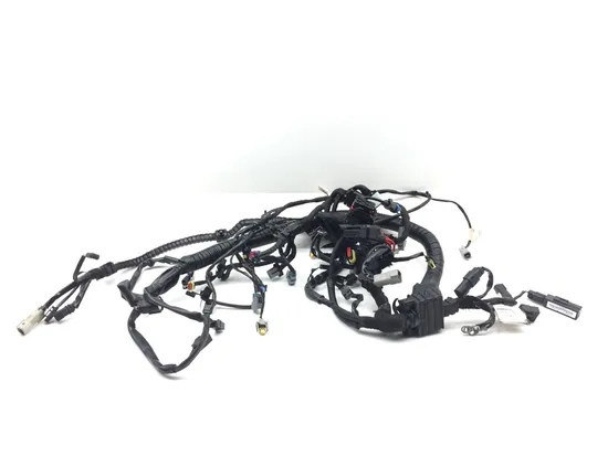 Main Engine Wiring Harness 2015 Harley-Davidson Dyna Low Rider FXDL 3075