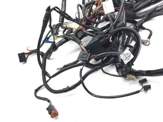 Main Engine Wiring Harness 1998 Harley-Davidson Road King FLHR 3048