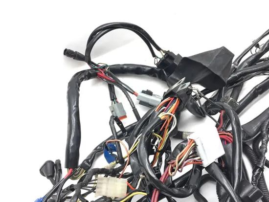Main Engine Wiring Harness 1998 Harley-Davidson Road King FLHR 3048