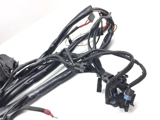 Main Engine Wiring Harness 1998 Harley-Davidson Road King FLHR 3048
