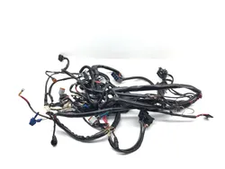 Main Engine Wiring Harness 1998 Harley-Davidson Road King FLHR 3048