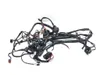 Main Engine Wiring Harness 1998 Harley-Davidson Road King FLHR 3048