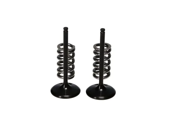 ProX Steel Intake Valve and Spring Kit for Yamaha YZ450F