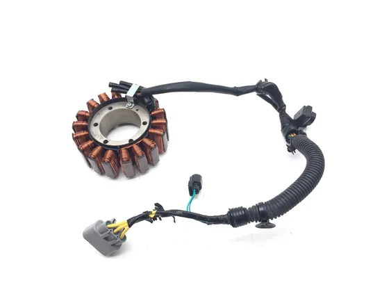 Engine Stator Generator 2018 Honda Pioneer 1000 SXS1000M3 EPS 3084