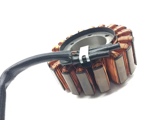 Engine Stator Generator 2018 Honda Pioneer 1000 SXS1000M3 EPS 3084