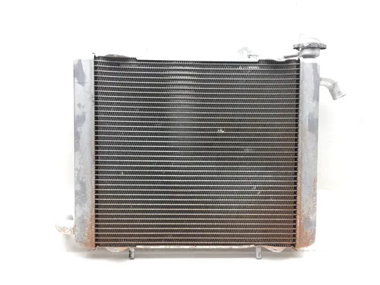 Engine Radiator Cooling 2018 Honda Pioneer 1000 SXS1000M3 EPS 3084 x