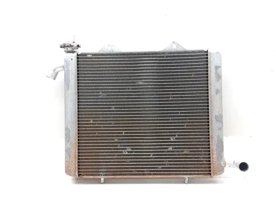 Engine Radiator Cooling 2018 Honda Pioneer 1000 SXS1000M3 EPS 3084 x