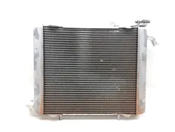 Engine Radiator Cooling 2018 Honda Pioneer 1000 SXS1000M3 EPS 3084 x