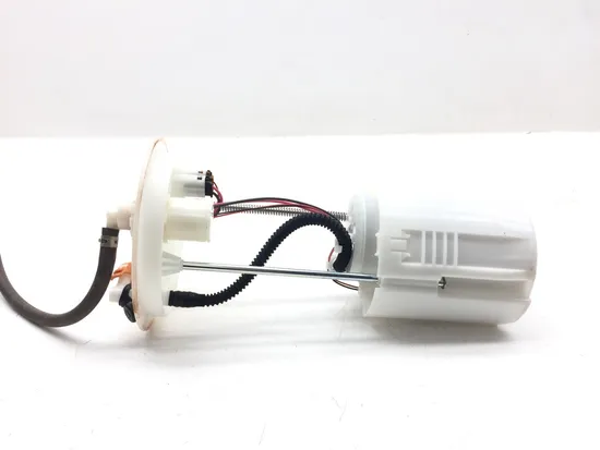 Gas Fuel Tank Pump 2018 Honda Pioneer 1000 SXS1000M3 EPS 3084