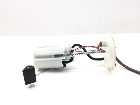 Gas Fuel Tank Pump 2018 Honda Pioneer 1000 SXS1000M3 EPS 3084