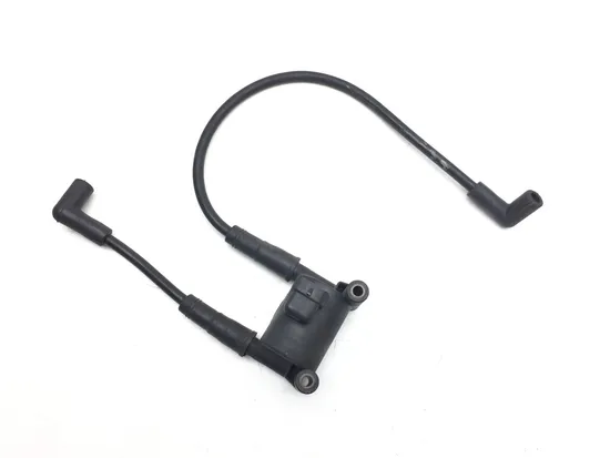 Ignition Coil Set 2007 Harley-Davidson Heritage Softail Classic FLSTC 3053