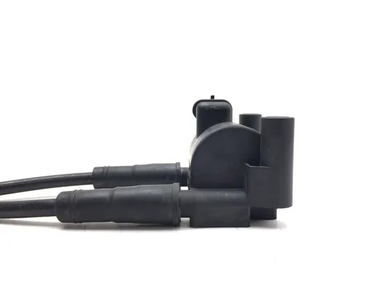 Ignition Coil Set 2007 Harley-Davidson Heritage Softail Classic FLSTC 3053