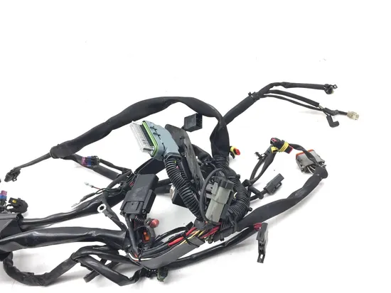 Main Engine Wiring Harness Bracket 2007 Harley Heritage Softail Classic 3053