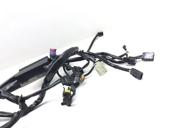 Main Engine Wiring Harness Bracket 2007 Harley Heritage Softail Classic 3053