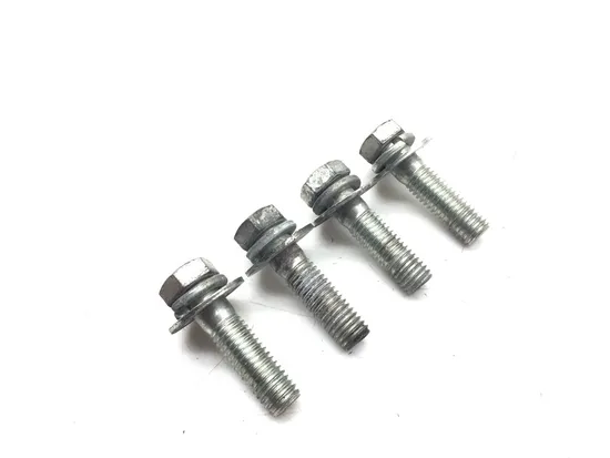 Shock Bolts 2006 Harley-Davidson Road King Custom FLHRS 3086