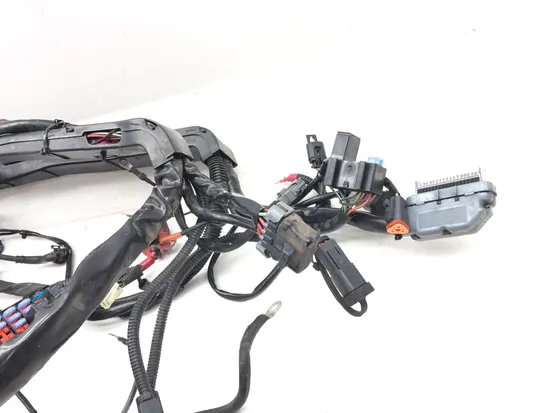 Main Engine Wiring Harness 2006 Harley-Davidson Road King Custom FLHRS 3086