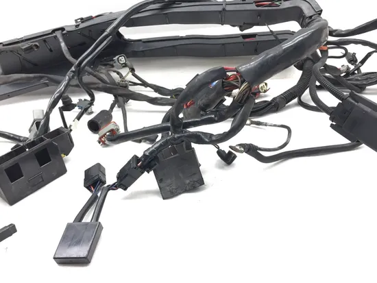 Main Engine Wiring Harness 2006 Harley-Davidson Road King Custom FLHRS 3086