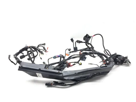 Main Engine Wiring Harness 2006 Harley-Davidson Road King Custom FLHRS 3086