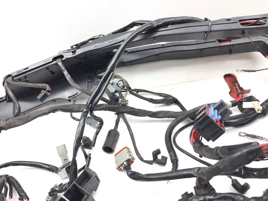 Main Engine Wiring Harness 2006 Harley-Davidson Road King Custom FLHRS 3086