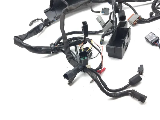 Main Engine Wiring Harness 2006 Harley-Davidson Road King Custom FLHRS 3086