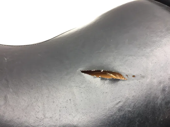 Seat 2007 Harley-Davidson Dyna Super Glide FXD 3049 x