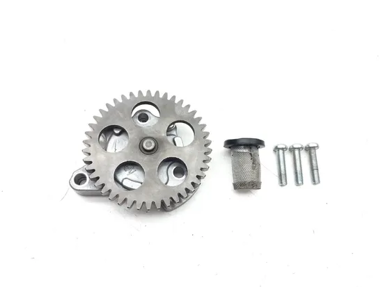 Engine Oil Pump Assembly 2000 Kawasaki KLR650 3056