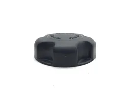 Gas Fuel Tank Cap 2017 Polaris RZR XP 1000 EPS 3085