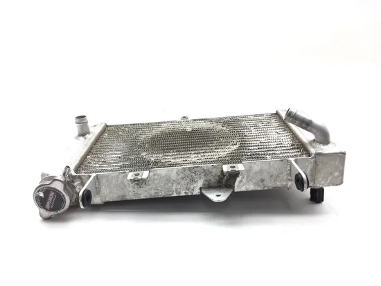 Engine Radiator Cooling 2020 Yamaha YFZ450R 3088 x