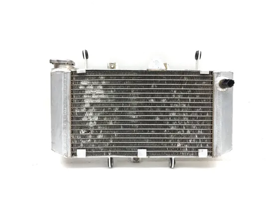 Engine Radiator Cooling 2020 Yamaha YFZ450R 3088 x