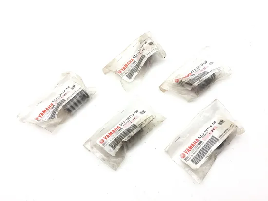 New Valve Springs 5TJ-12114-00 x2 and 5TJ-12113-00 x3 2020 Yamaha YFZ450R 3088