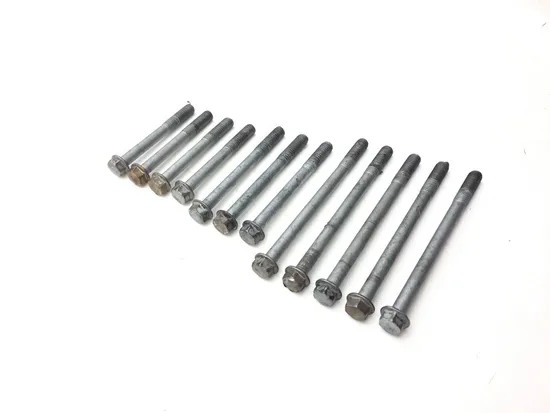 Engine Center Cases Case Bolts 2010 Kawasaki KFX450R 3091