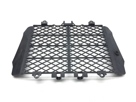 Engine Radiator Grill Guard 2010 Kawasaki KFX450R 3091