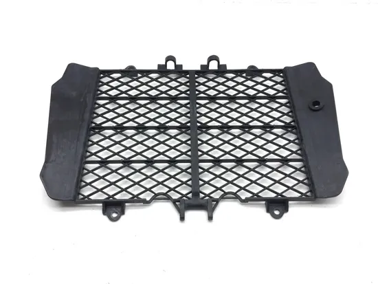 Engine Radiator Grill Guard 2010 Kawasaki KFX450R 3091