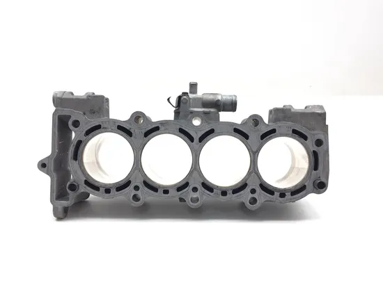 Engine Cylinder Jug W Piston 2005 Kawasaki ZZR600 3090