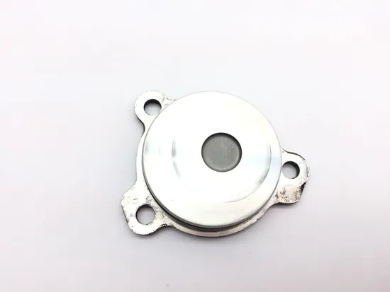 Engine Oil Filter Cover 2009 BMW F800GS 2867