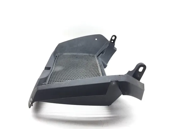 Engine Radiator Grill Guard 2009 BMW F800GS 2867