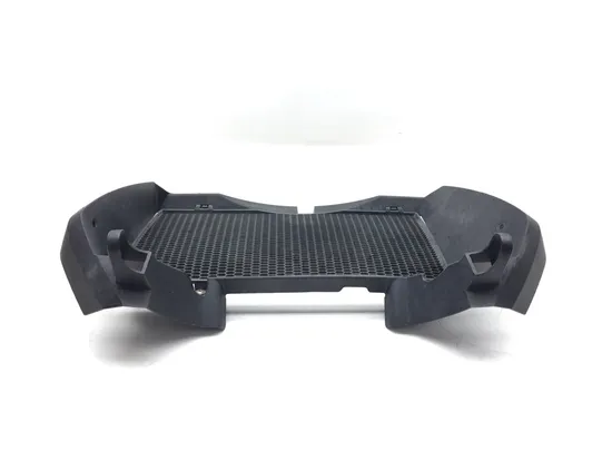Engine Radiator Grill Guard 2009 BMW F800GS 2867