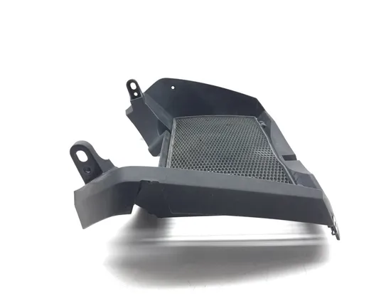 Engine Radiator Grill Guard 2009 BMW F800GS 2867