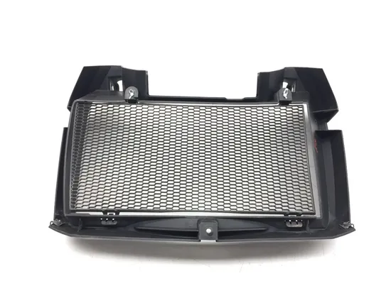 Engine Radiator Grill Guard 2009 BMW F800GS 2867