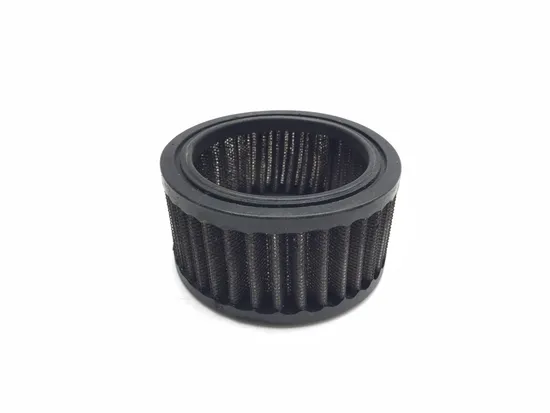 Air Filter W Cover 2007 Harley-Davidson Sportster 1200 Custom XL1200C 3096