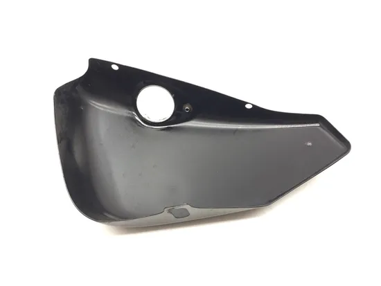 Right Side Cover 2007 Harley-Davidson Sportster 1200 Custom XL1200C 3096 x