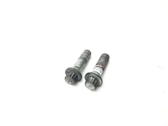 Front Brake Caliper Mounting Bolts 2007 Harley Sportster 1200 Custom 3096