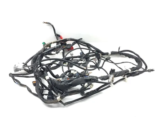 Main Engine Wiring Harness 2016 Yamaha YXZ1000R 3057
