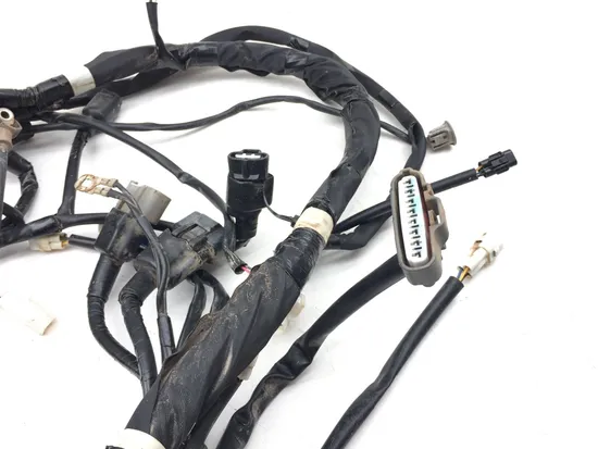 Main Engine Wiring Harness 2016 Yamaha YXZ1000R 3057