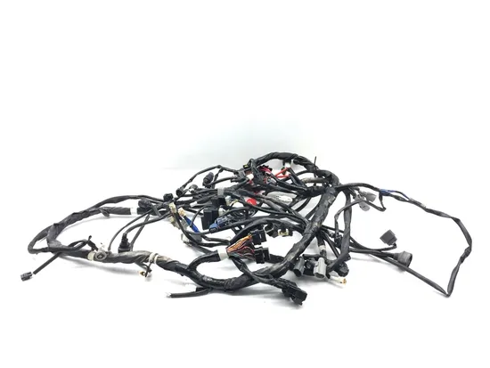 Main Engine Wiring Harness 2016 Yamaha YXZ1000R 3057