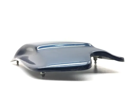 Left Side Cover 2000 Harley-Davidson Electra Glide Classic EFI FLHTCI 3098 x