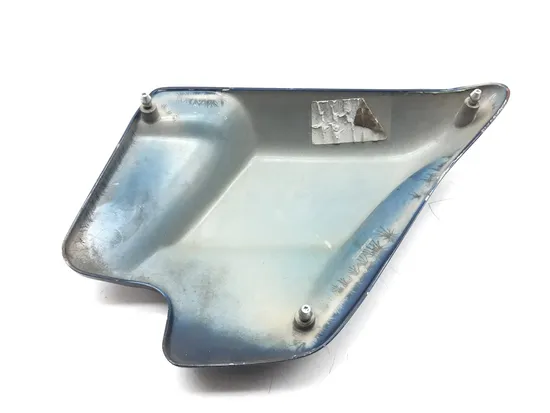 Left Side Cover 2000 Harley-Davidson Electra Glide Classic EFI FLHTCI 3098 x
