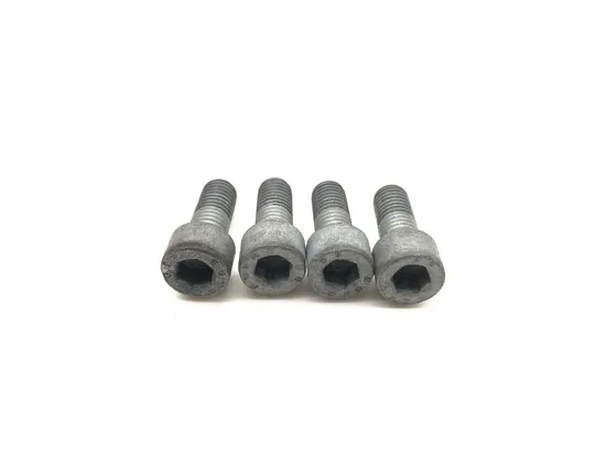 Front Brake Caliper Mounting Bolts 1995 BMW R1100RS ABS 3089