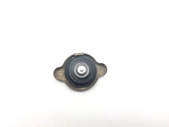 Engine Radiator Cap 2014 Polaris RZR XP 1000 EPS 3095
