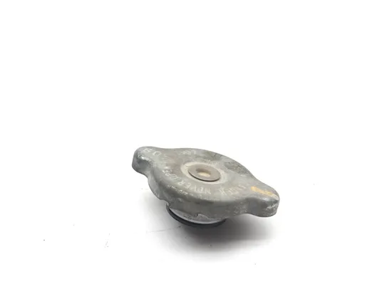 Engine Radiator Cap 2014 Polaris RZR XP 1000 EPS 3095